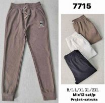 Spodnie dresowy damskie (M-2XL/12szt)