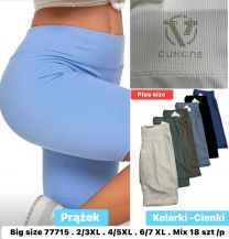 PLUS_Spodenki legginsy (2-7XL/18szt)