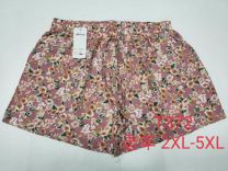 Szorty damskie (2-5XL/12szt)