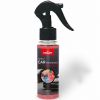 Spray do auta Prady 100ml