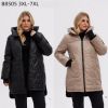 Kurtka damskie (3XL-7XL/5szt)