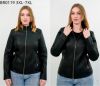 Kurtka ekoskóry damskie (3-7XL/5szt)