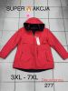 Kurtka damskie (3-7XL/5szt)