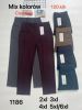 PLUS_Spodnie elastyczny (2-6XL/12szt)