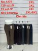 PLUS_Spodnie elastyczny (2-6XL/12szt)