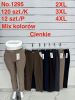 PLUS_Spodnie elastyczny (2XL-4XL/12szt)