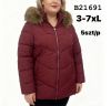 Kurtka damskie (3XL-7XL/5szt)