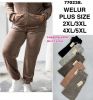 PLUS_Spodnie welurowy (2-5XL/12szt)