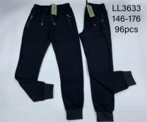 Spodnie dresowe Chłopięce (146-176/12 szt)